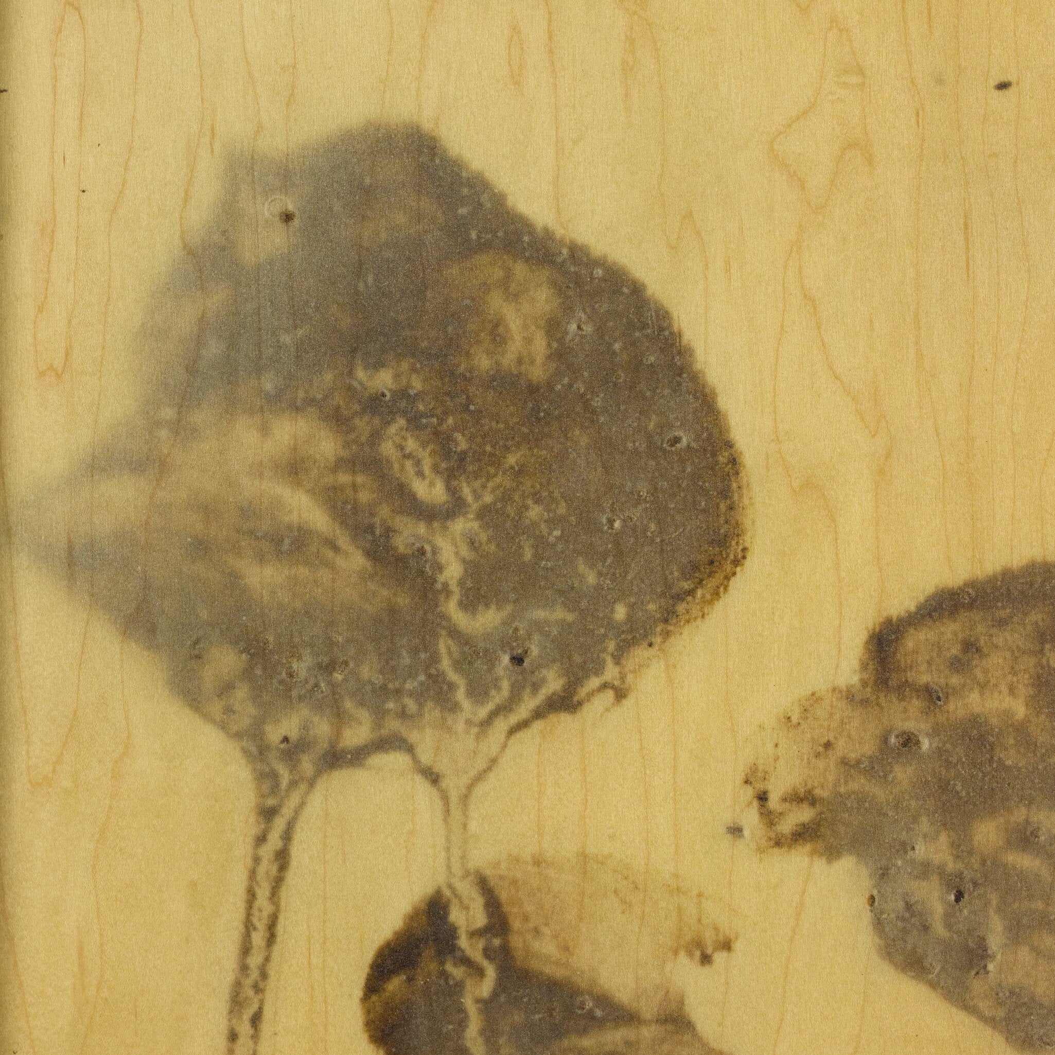 Lutare Diptych by Kelly Rogers - Rustic Walnut Floater | 54" x 40"