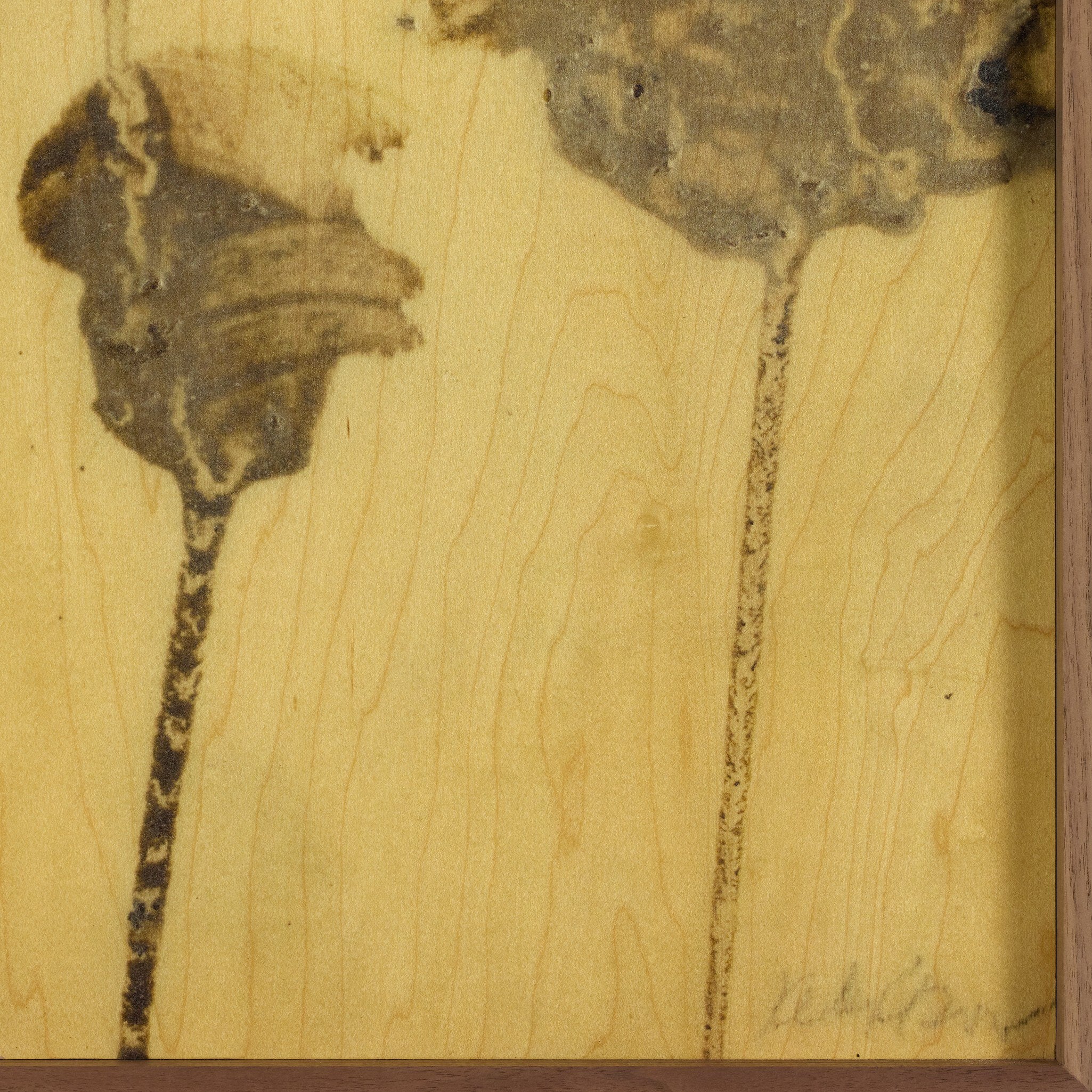 Lutare Diptych by Kelly Rogers - Rustic Walnut Floater | 36" x 24"