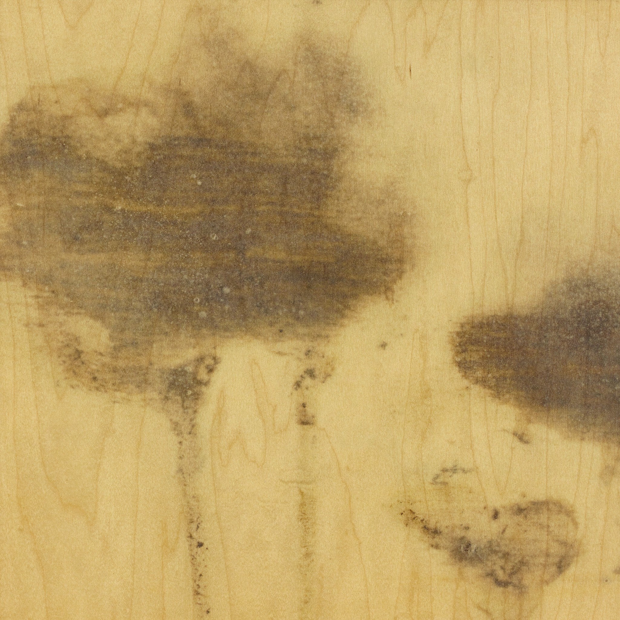 Lutare Diptych by Kelly Rogers - Rustic Walnut Floater | 24" x 18"
