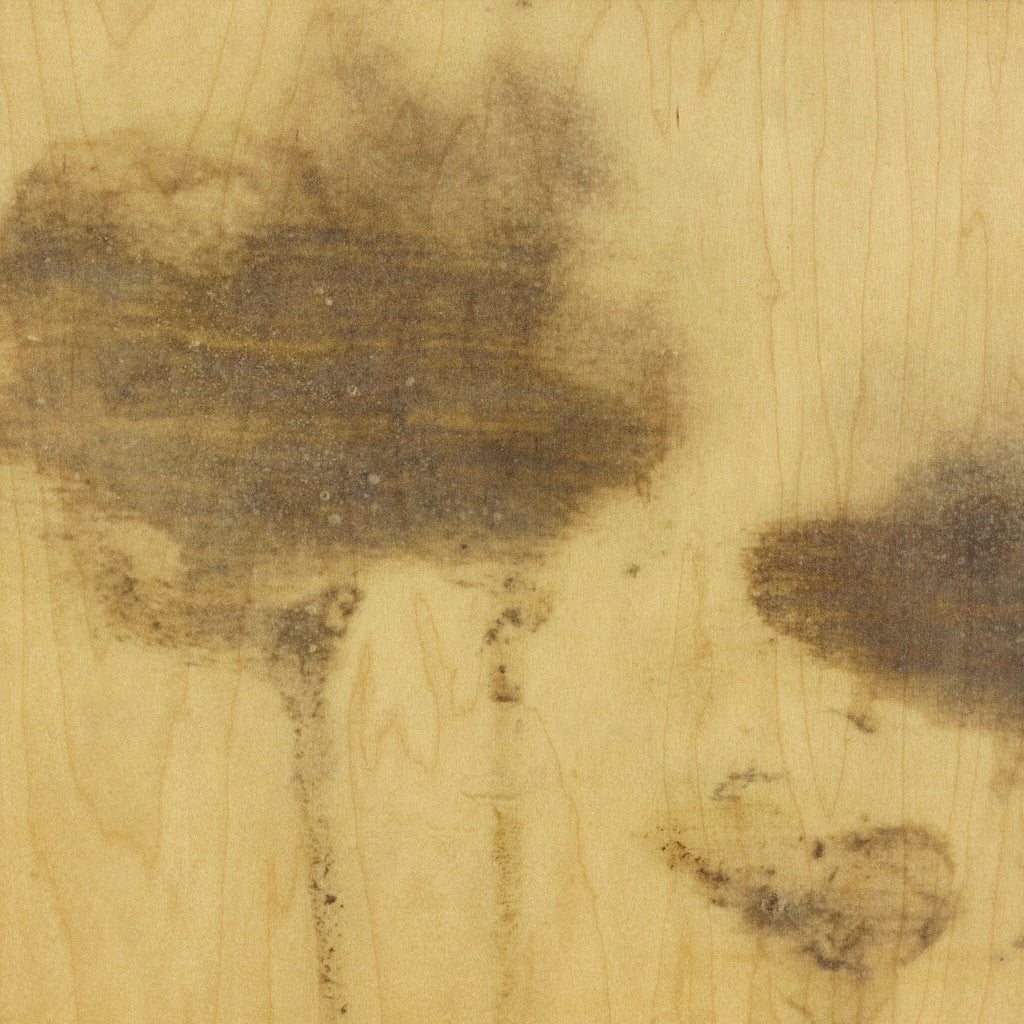 Lutare Diptych by Kelly Rogers - Rustic Walnut Floater | 54" x 40"