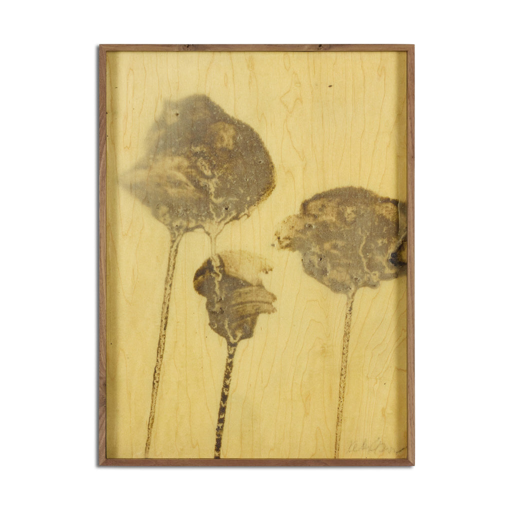 Lutare Diptych by Kelly Rogers - Rustic Walnut Floater | 43" x 32"