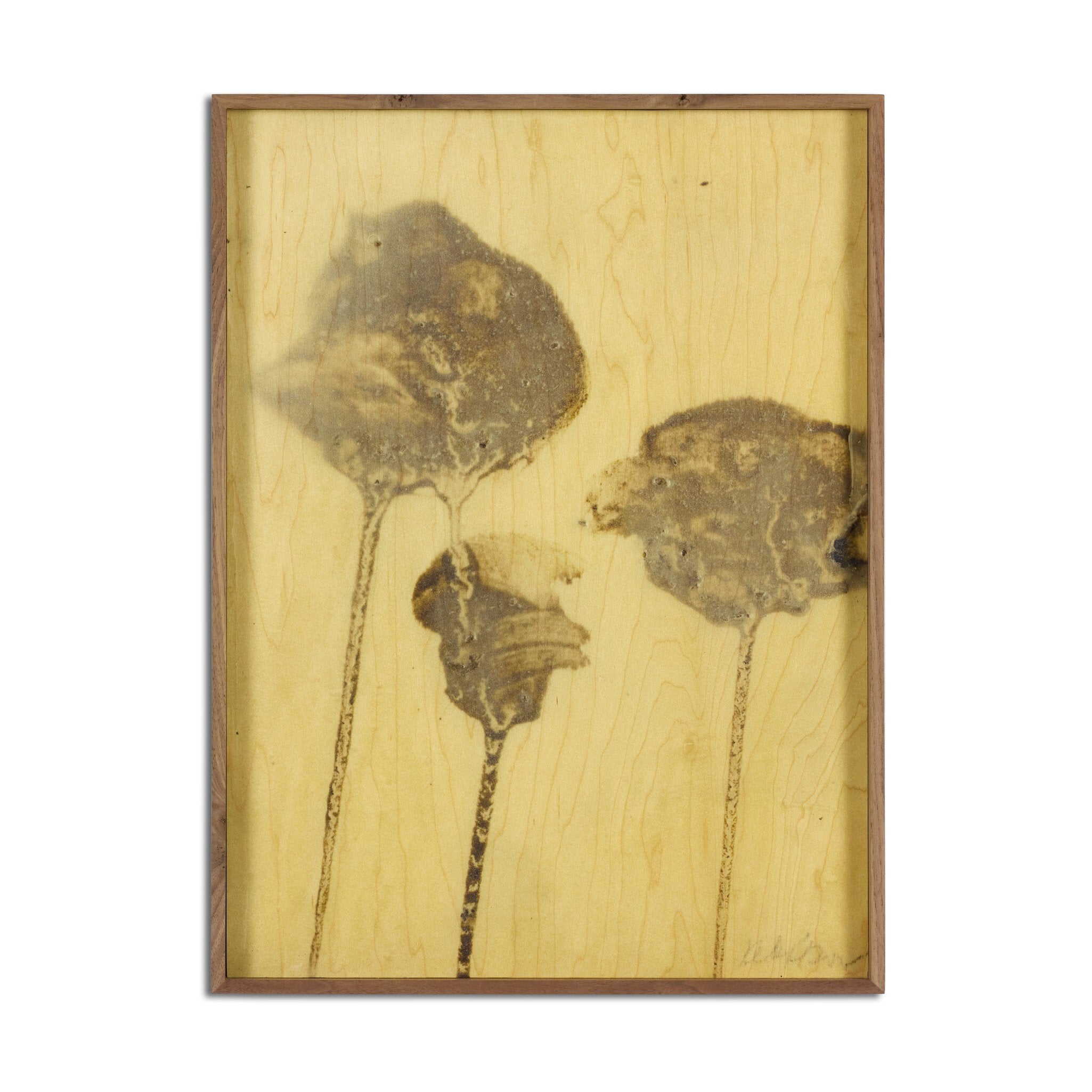 Lutare Diptych by Kelly Rogers - Rustic Walnut Floater | 36" x 24"