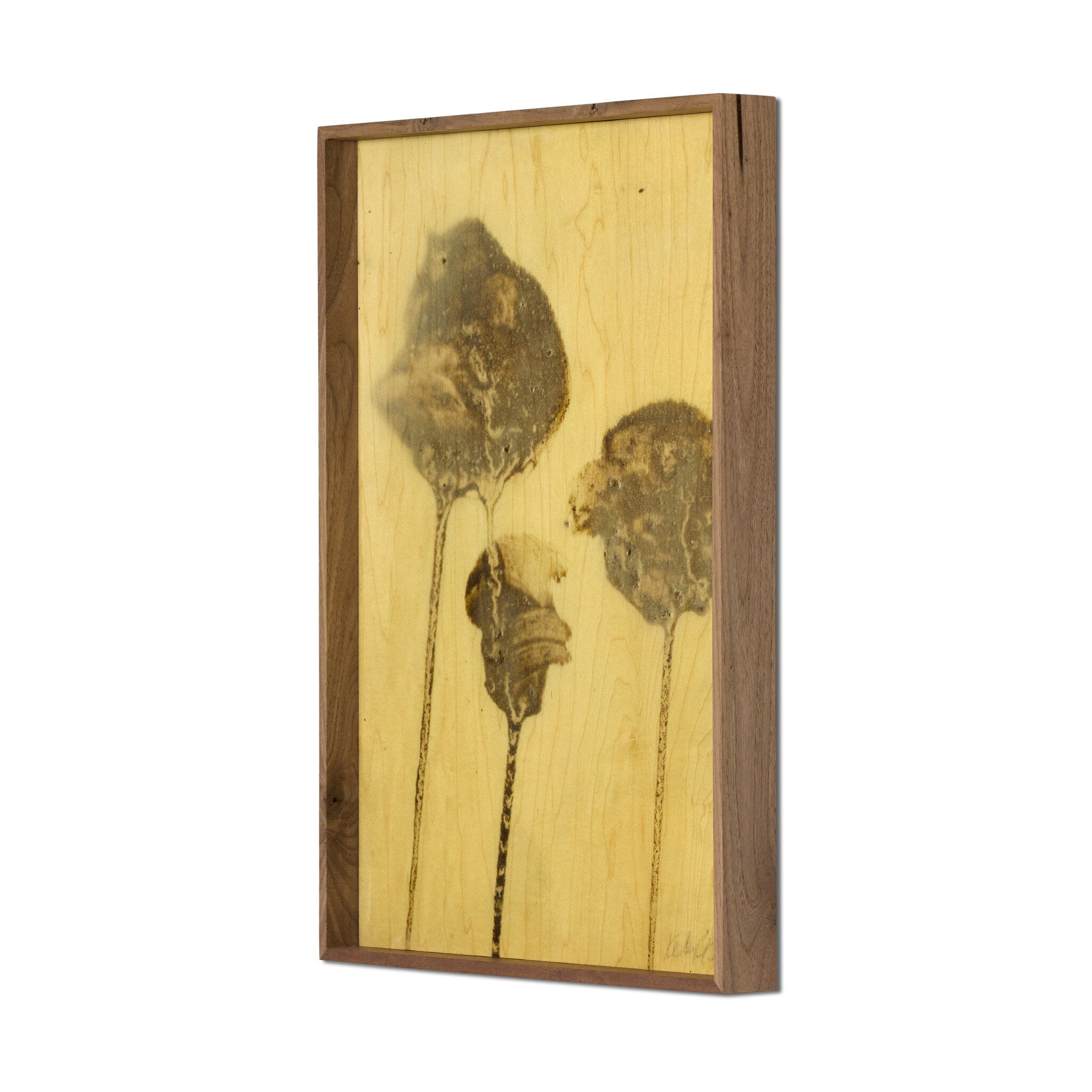 Lutare Diptych by Kelly Rogers - Rustic Walnut Floater | 24" x 18"