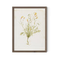 Papaveraceae No. 1 by Laurel-Dawn Latshaw - RoofTop 1.5 Rustic Walnut