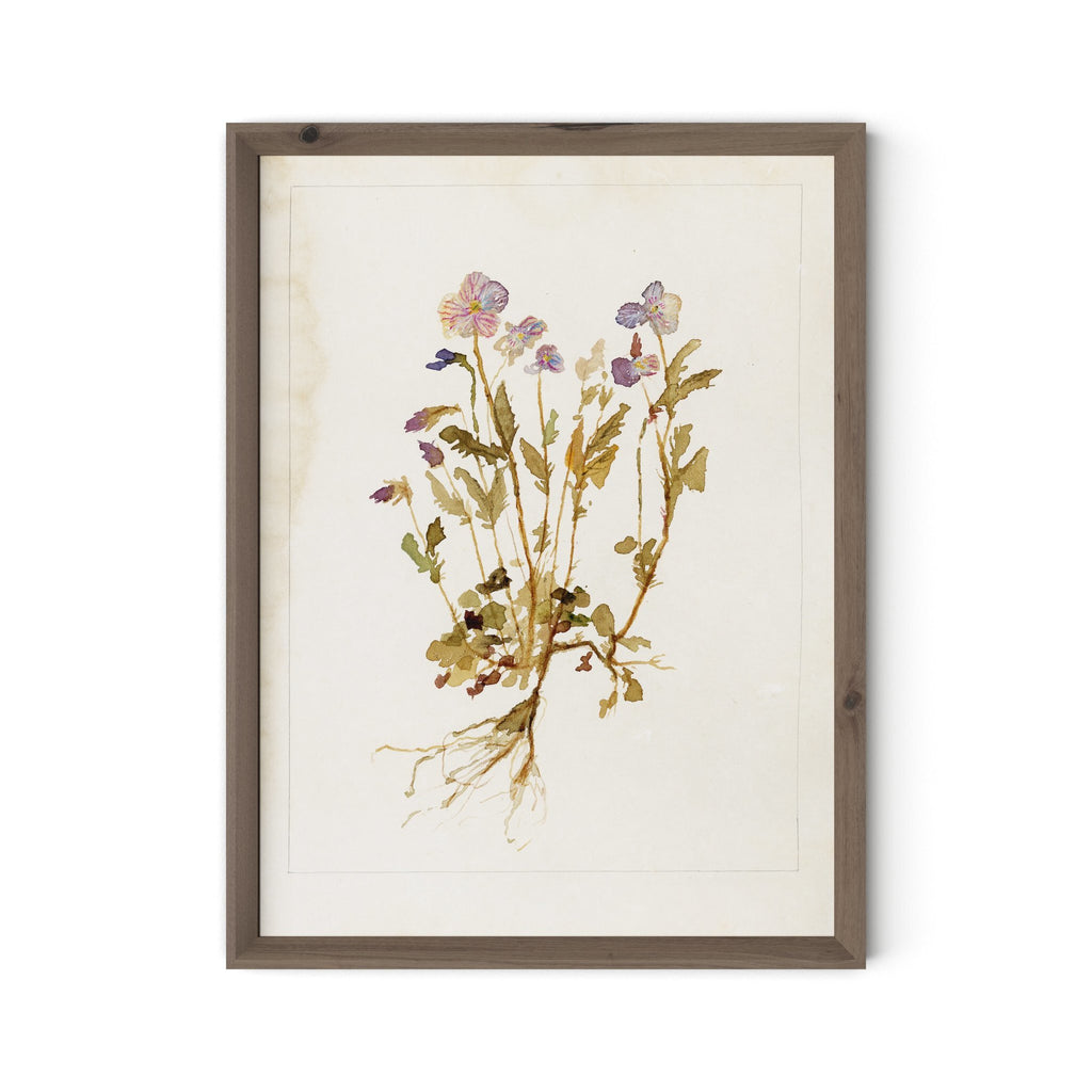 Viola No. 2 by Laurel-Dawn Latshaw - RoofTop 1.5 Rustic Walnut