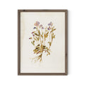 Viola No. 2 by Laurel-Dawn Latshaw - RoofTop 1.5 Rustic Walnut