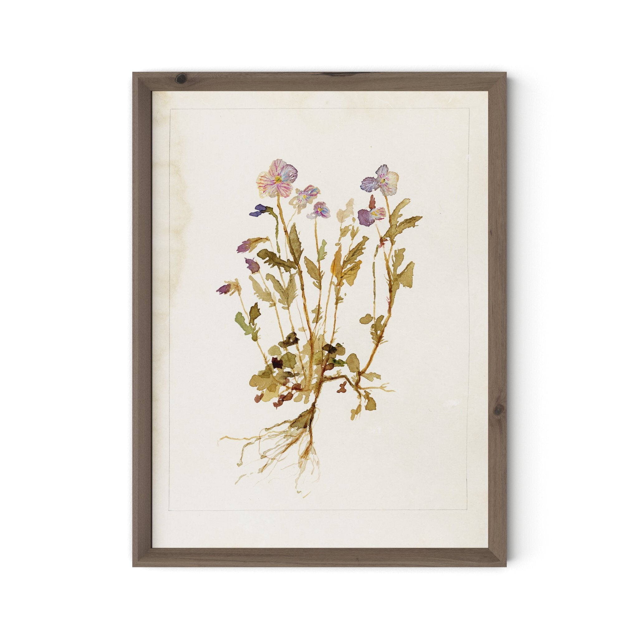 Viola No. 2 by Laurel-Dawn Latshaw - RoofTop 1.5 Rustic Walnut