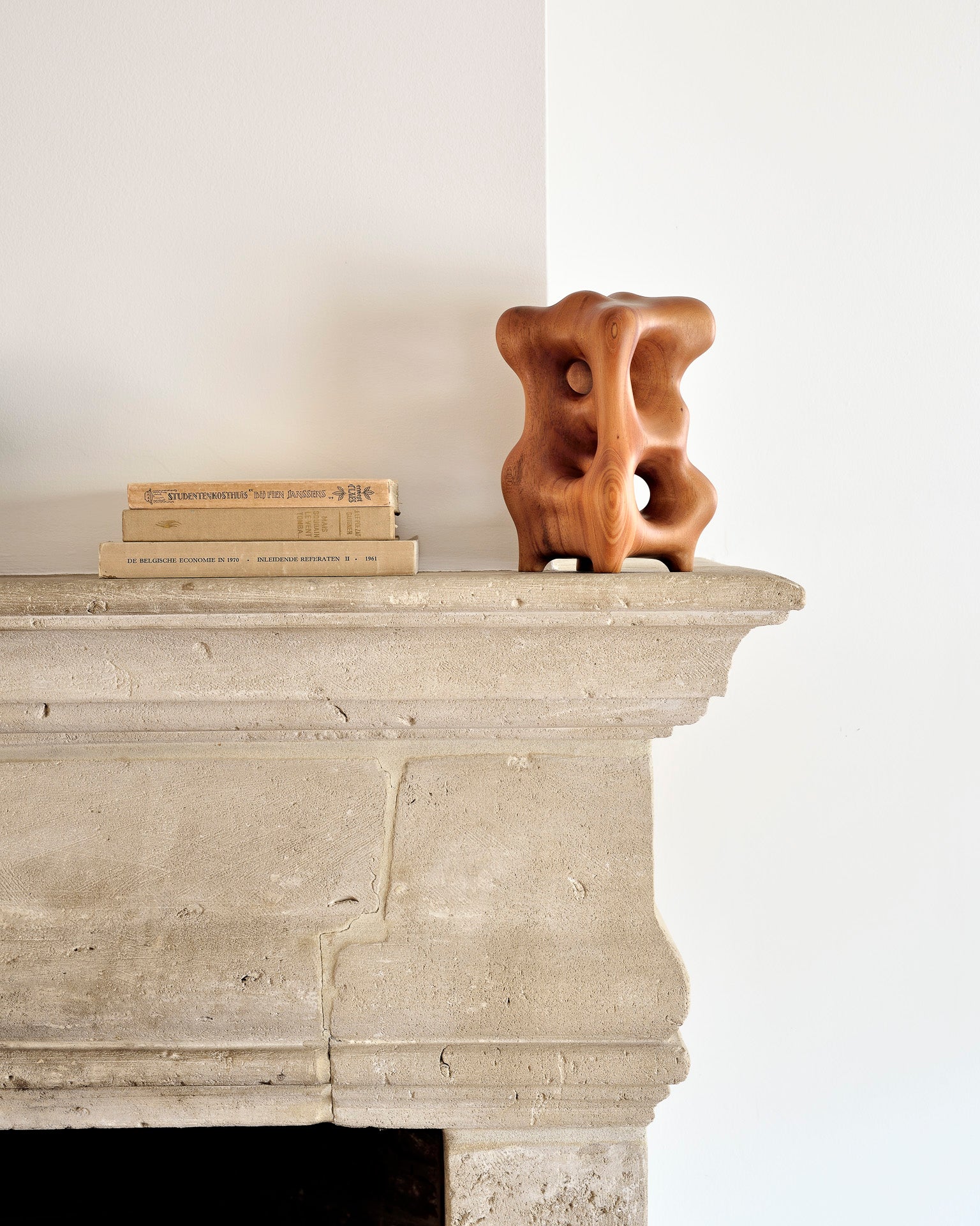 Organic Sculpture | Varnished Mahogany