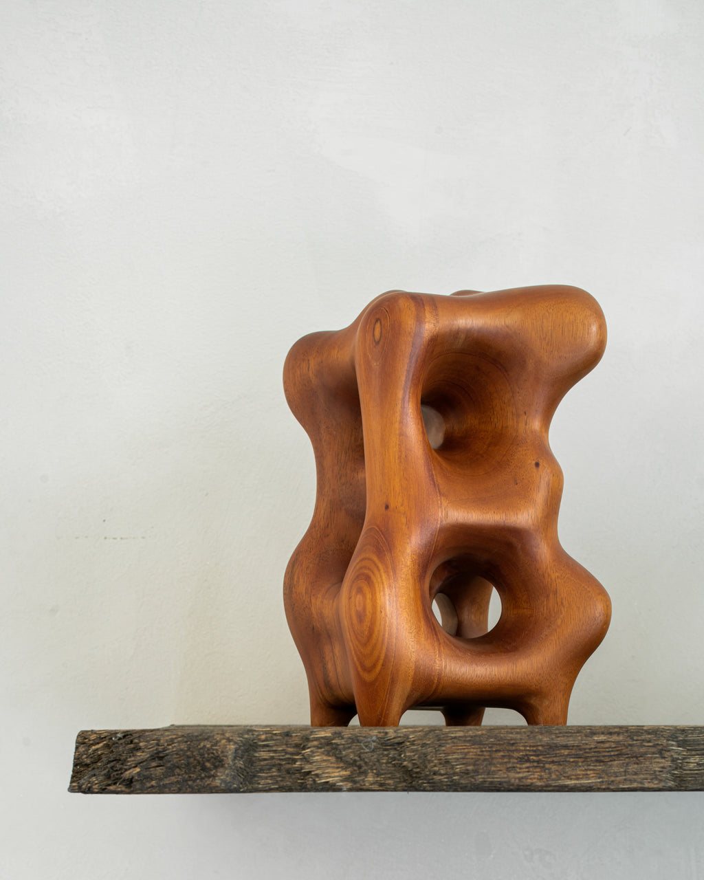Organic Sculpture | Varnished Mahogany