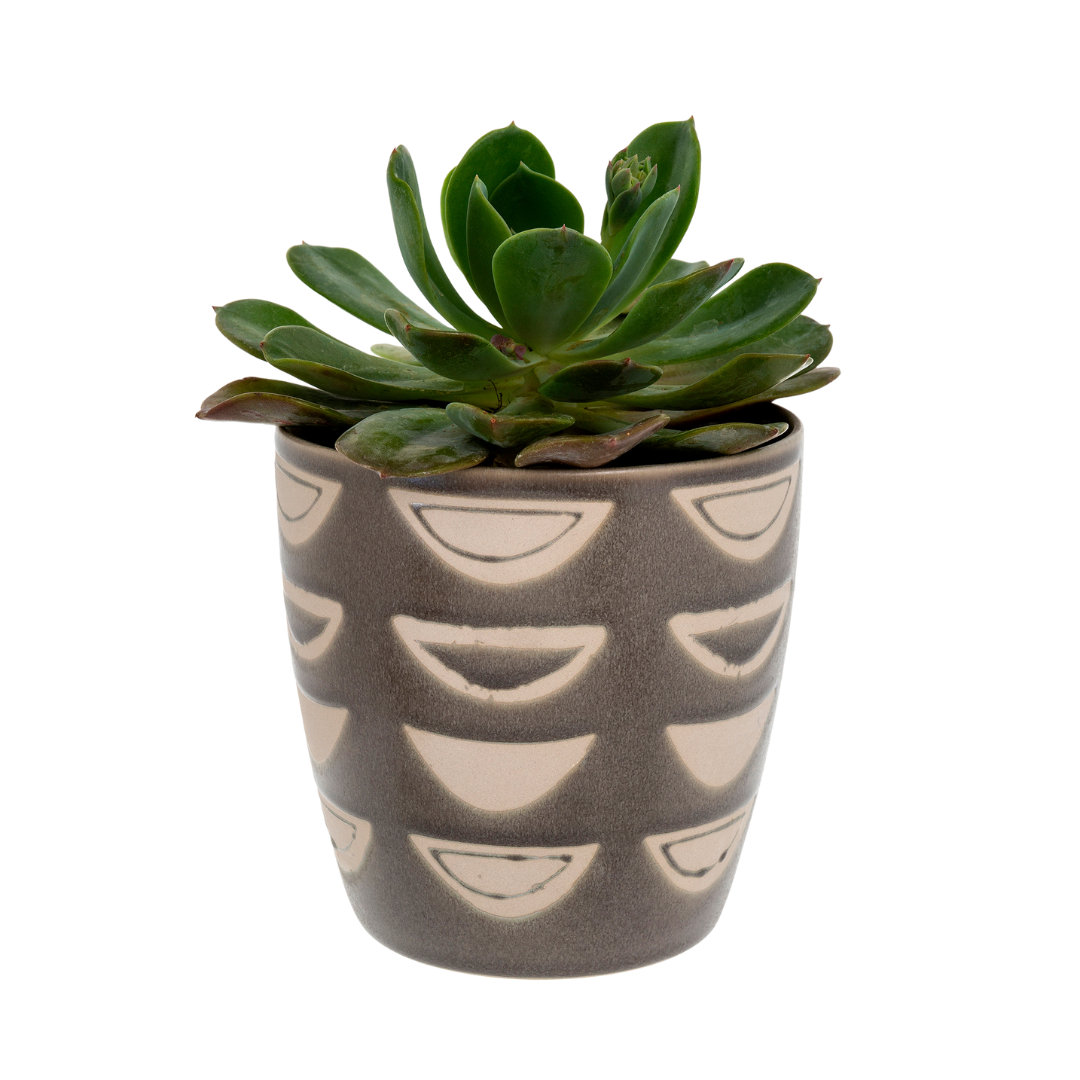 Luna Pot
