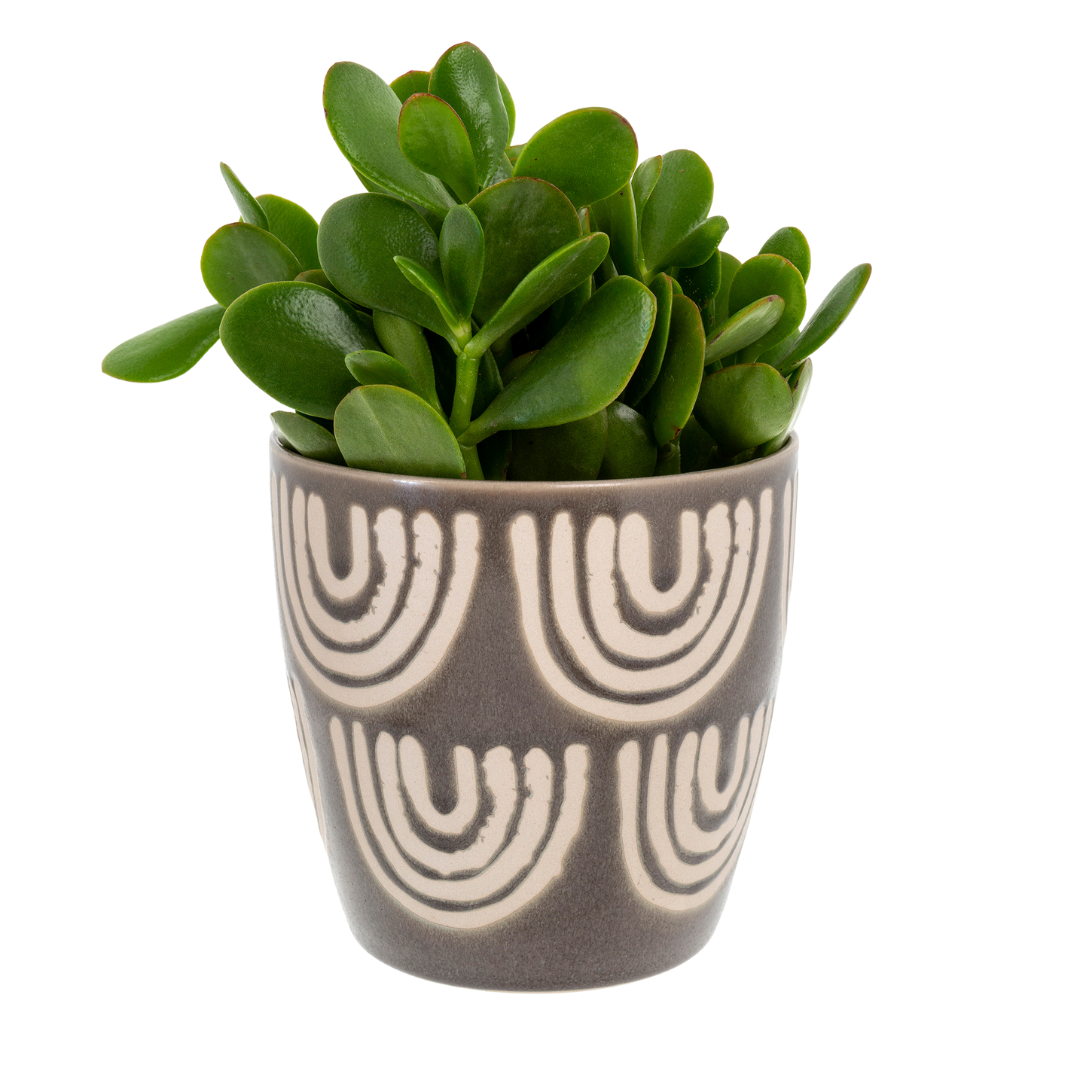 Arches Pot