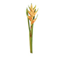 Heliconia Branch, 32" L
