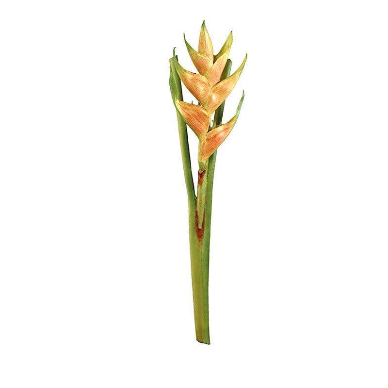 Heliconia Branch, 32" L