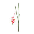 Heliconia Stem, 36" L