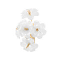 Hygea Wall Sconce