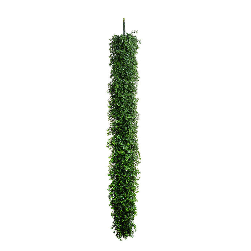 Boxwood Garland 6'