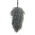 Blue Spruce Swag 30"L