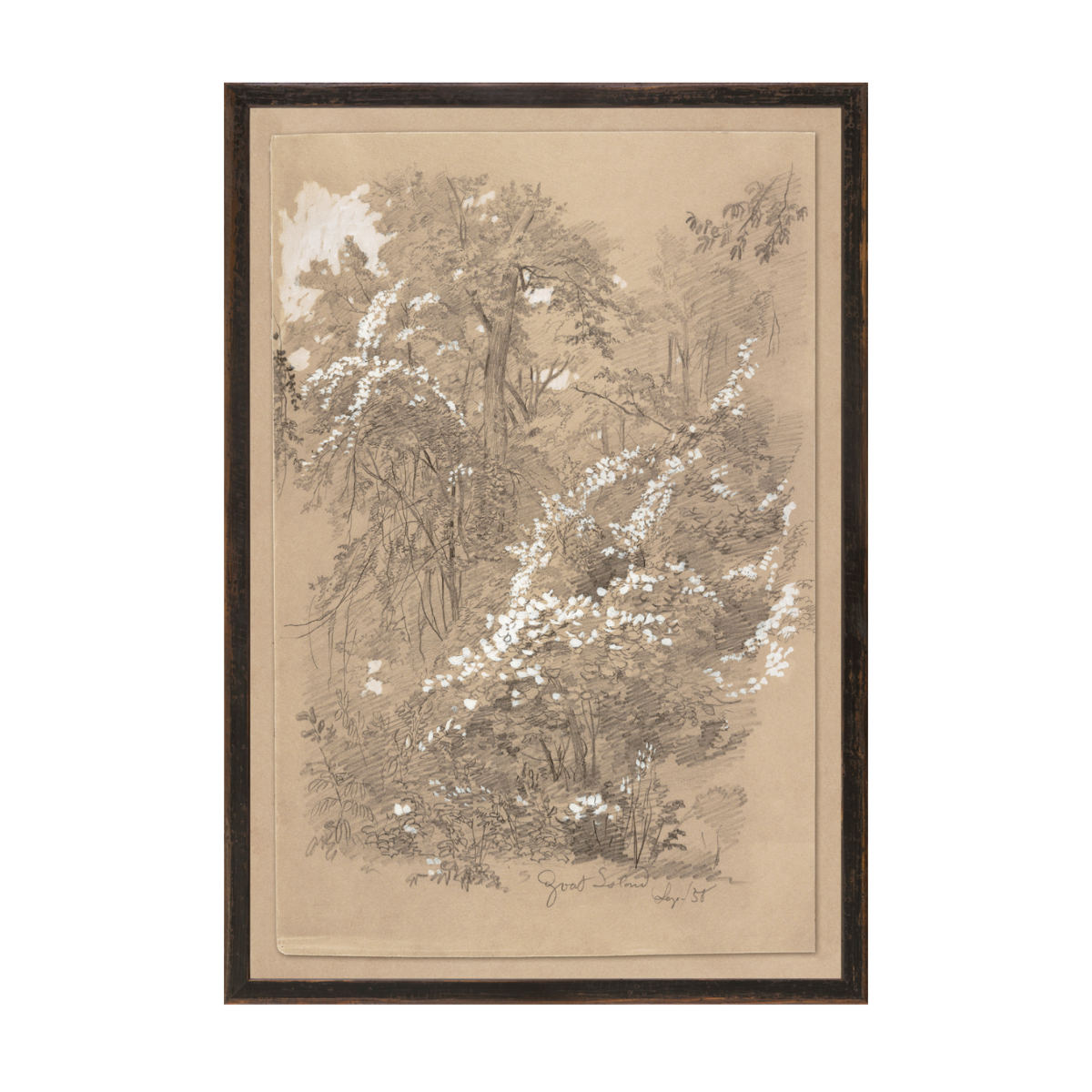Goat Island | Large