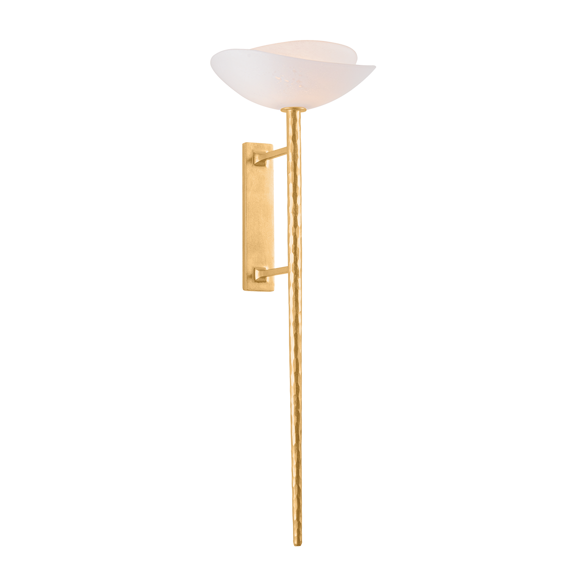 Coppa Wall Sconce