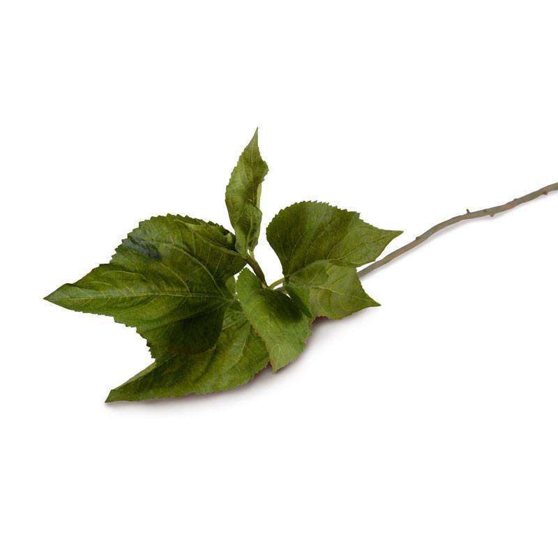 Hydrangea Leaf Stem, 45" L