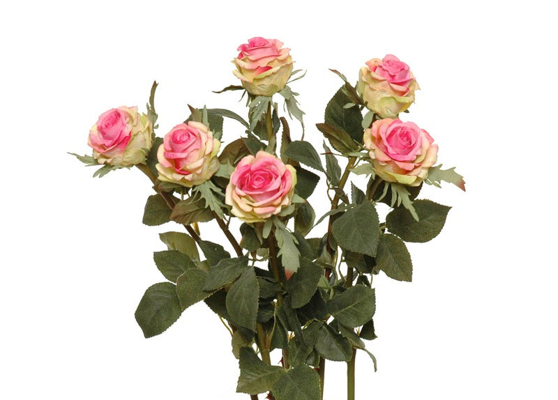 Rose Stem, 25" - Pink-Green