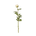 Peony Bud Stem with Leaves, 31" -White