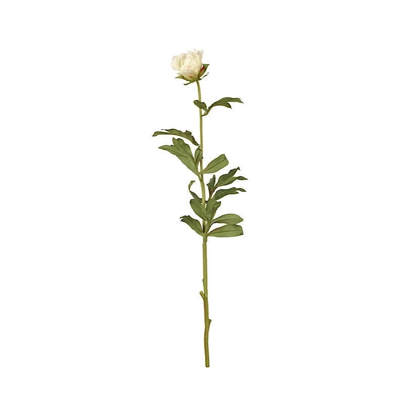 Peony Bud Stem with Leaves, 31" -White