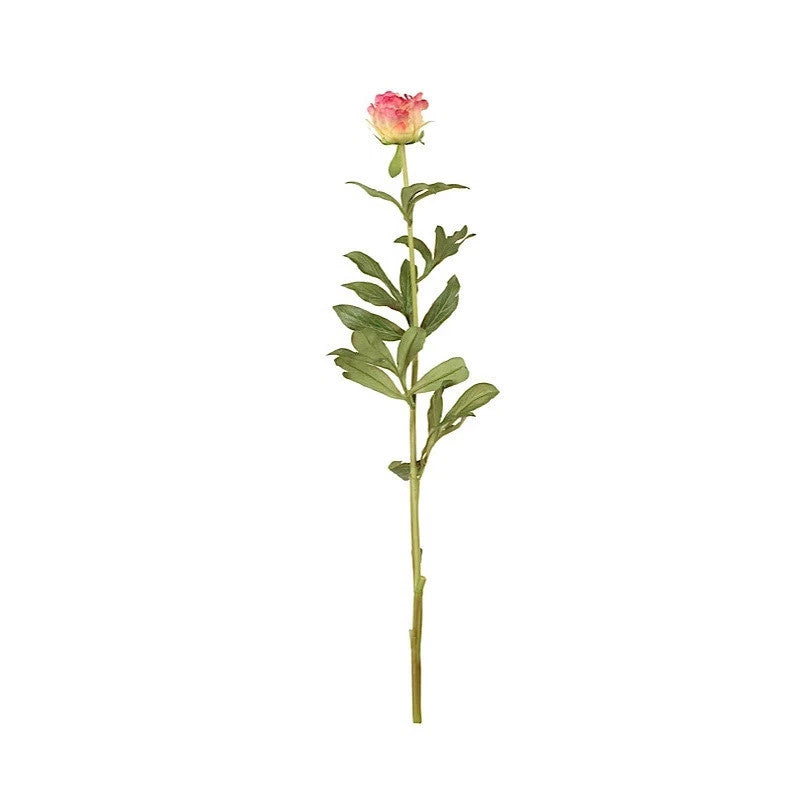 Peony Bud Stem with Leaves, 31" -Rose pink