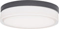 Cirque Small Outdoor Wall/Flush Mount Small Charcoal 3000K 90 CRI