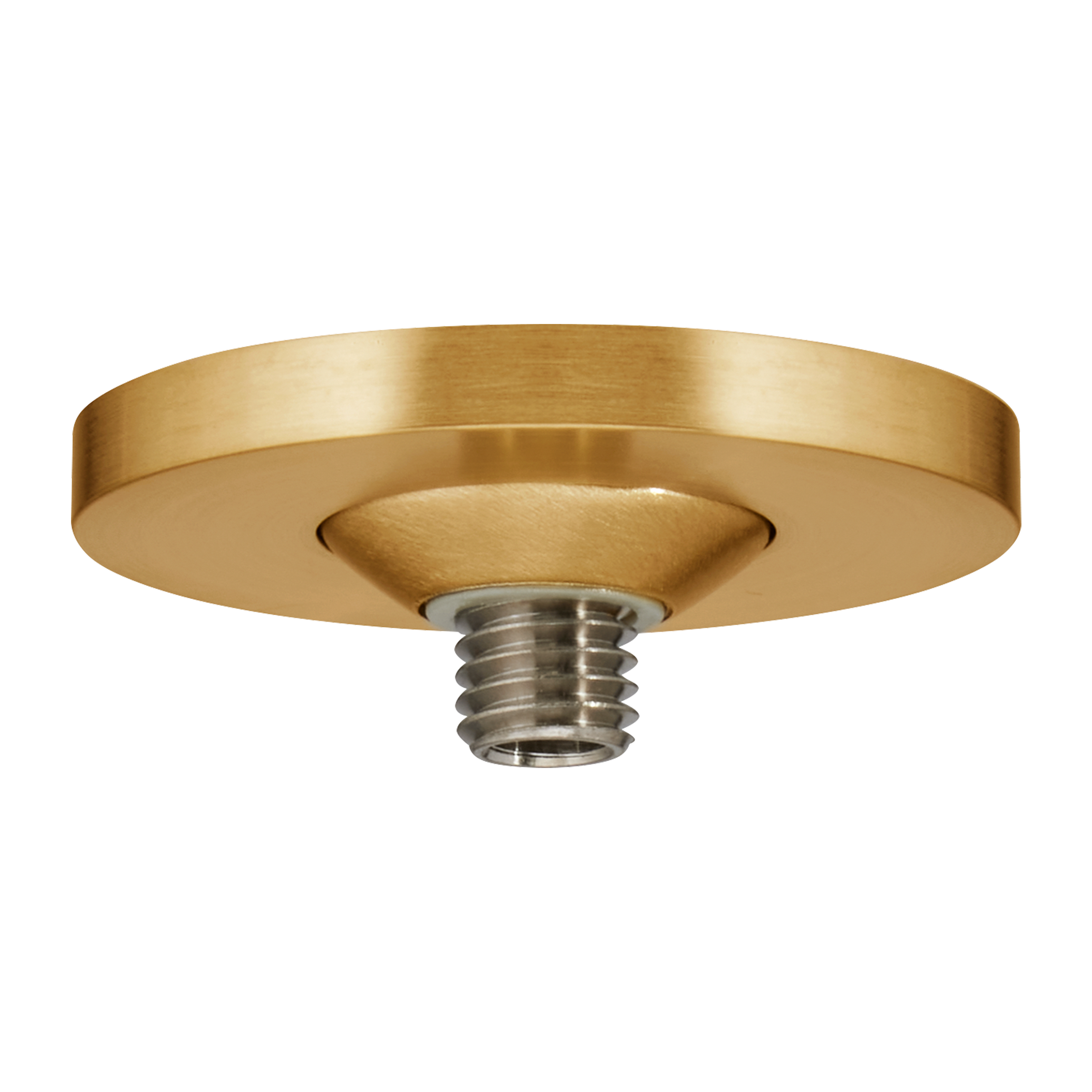 FreeJack Port Alone 1.5" Round natural brass