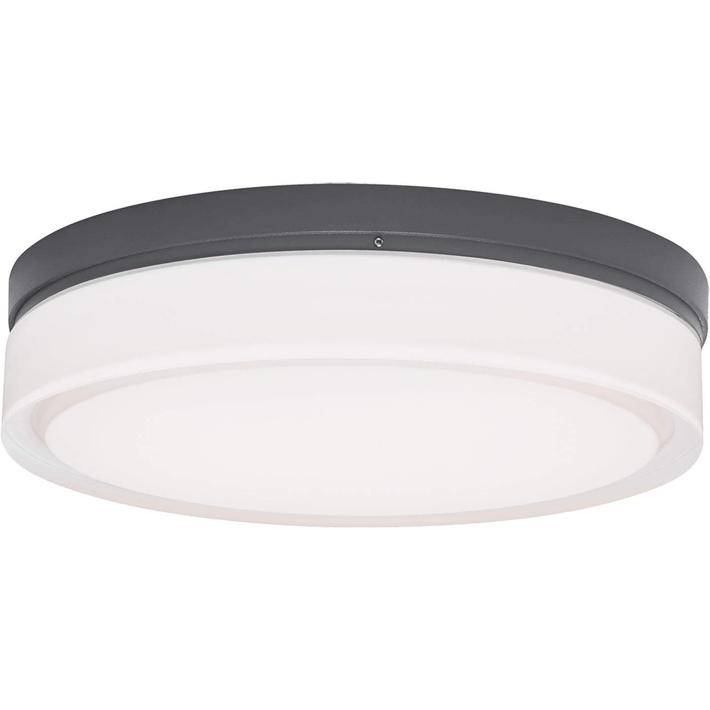Cirque Large Outdoor Wall/Flush Mount Large Charcoal 3000K 90 CRI