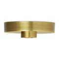 Line-Voltage Shallow Canopy Natural Brass