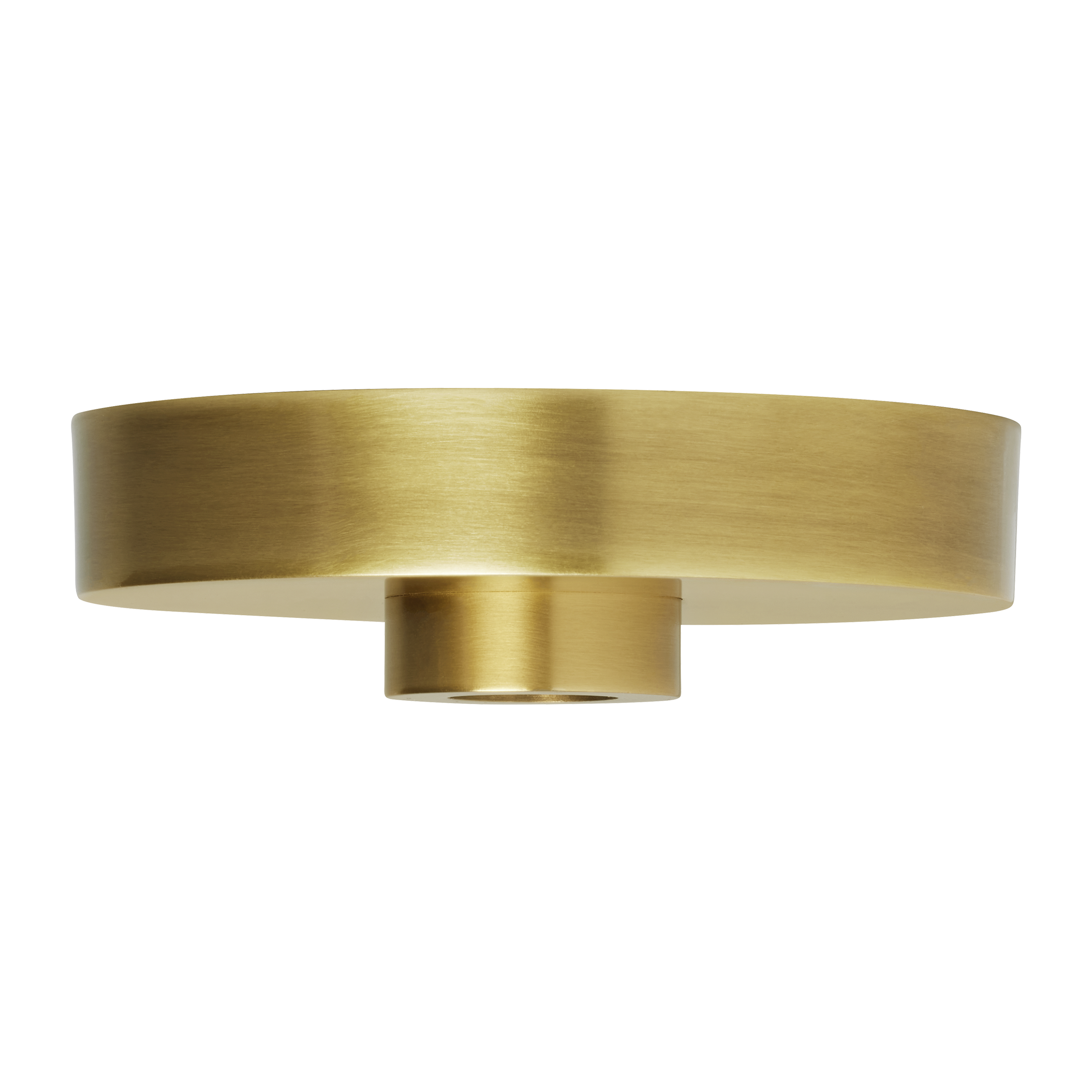 Line-Voltage Shallow Canopy Natural Brass