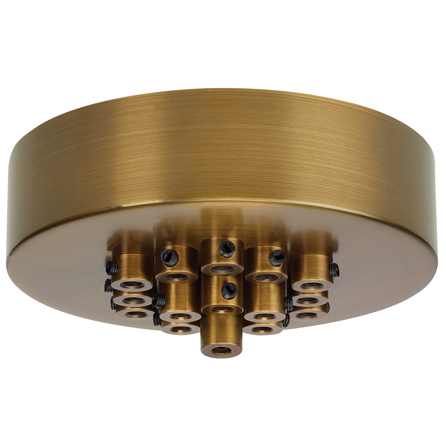 Line-Voltage Mini Canopy 19 Port Round aged brass