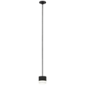 Gable Port Alone Pendant 1 Light Port Alone Nightshade Black 3000K 90 CRI integrated led 90 cri 3000k 120v-277v unv