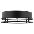 Union LED Outdoor Flush Mount Black Bulbs Inc