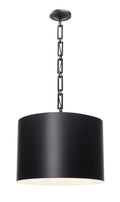 Brian Patrick Flynn Alston 20'' Matte Black + White Pendant