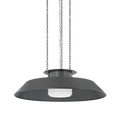 Woodrow Pendant