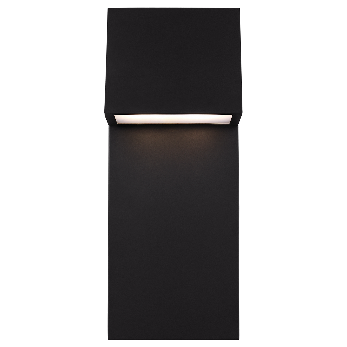 Rocha Extra Large LED Outdoor Wall Lantern Black Bulbs Included