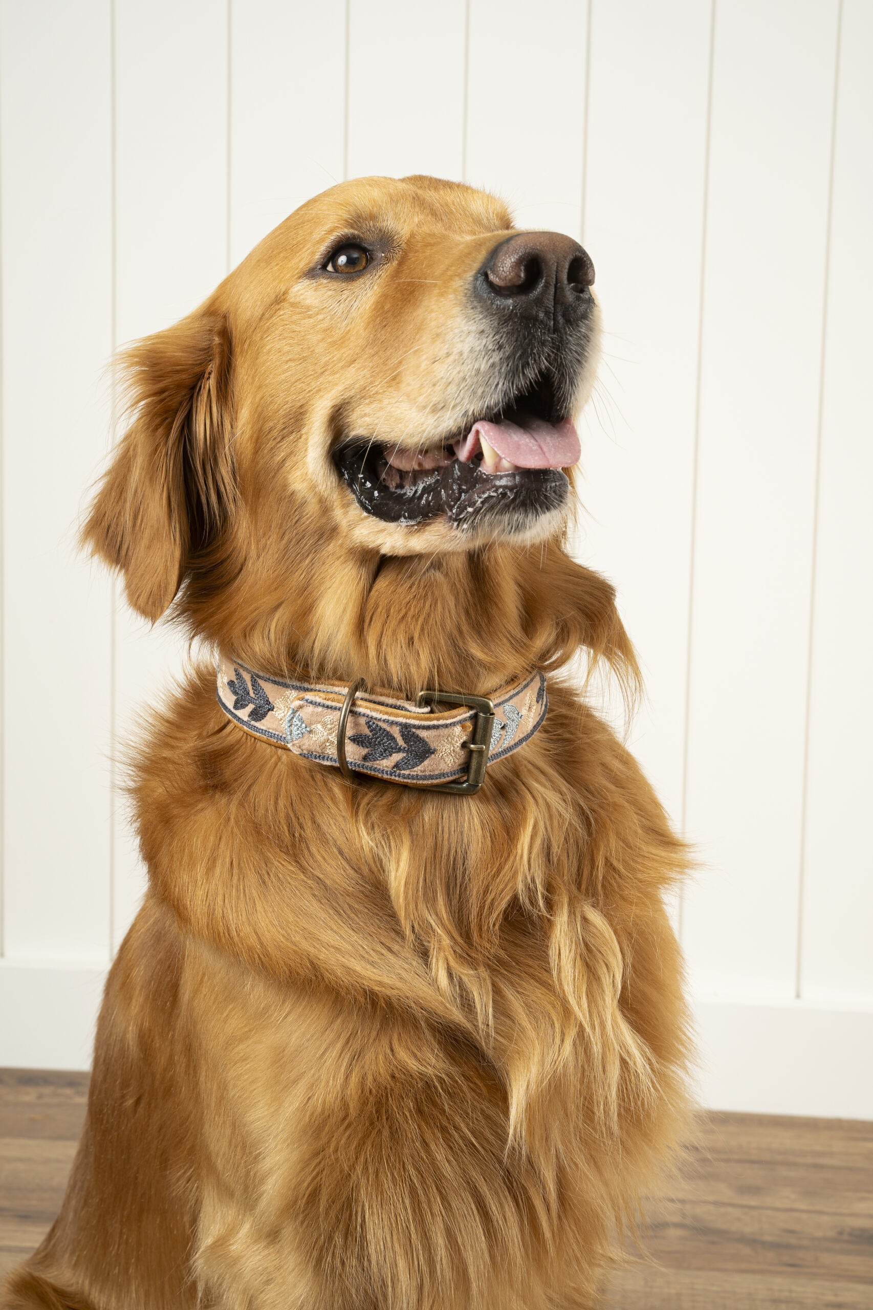 Casper Embroidered Dog Collar L