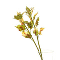 Coleus Stem, 21" L