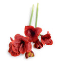 Amaryllis Stem, 24" L - Red