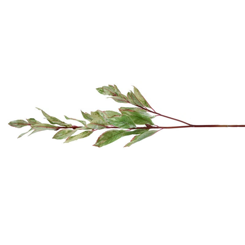 Laurel Leaf Spray, 31" L - Variegated