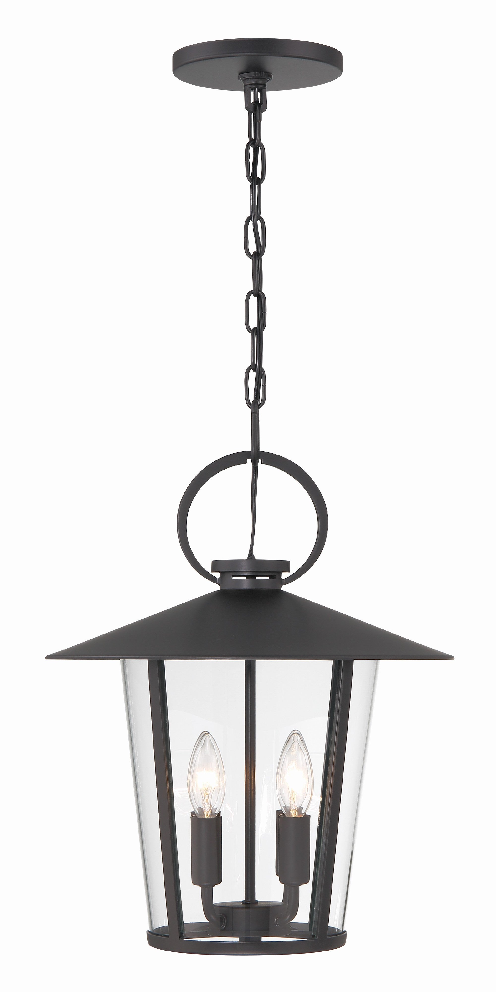 Andover 14'' Matte Black Outdoor Pendant