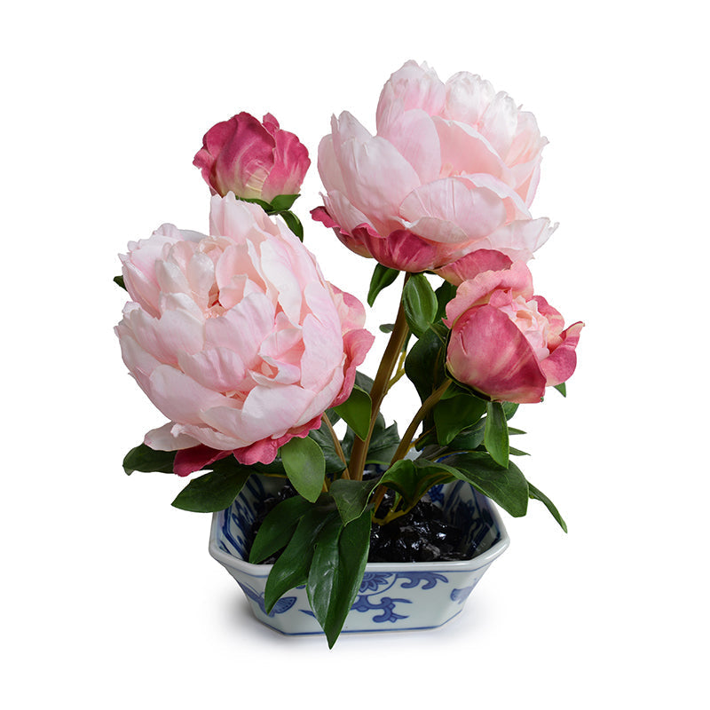 Peony Cutting in Blue & White 10"H Pink