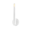 Levi Wall Sconce