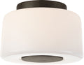Acme Small Flush Mount | Bronze | White Glass