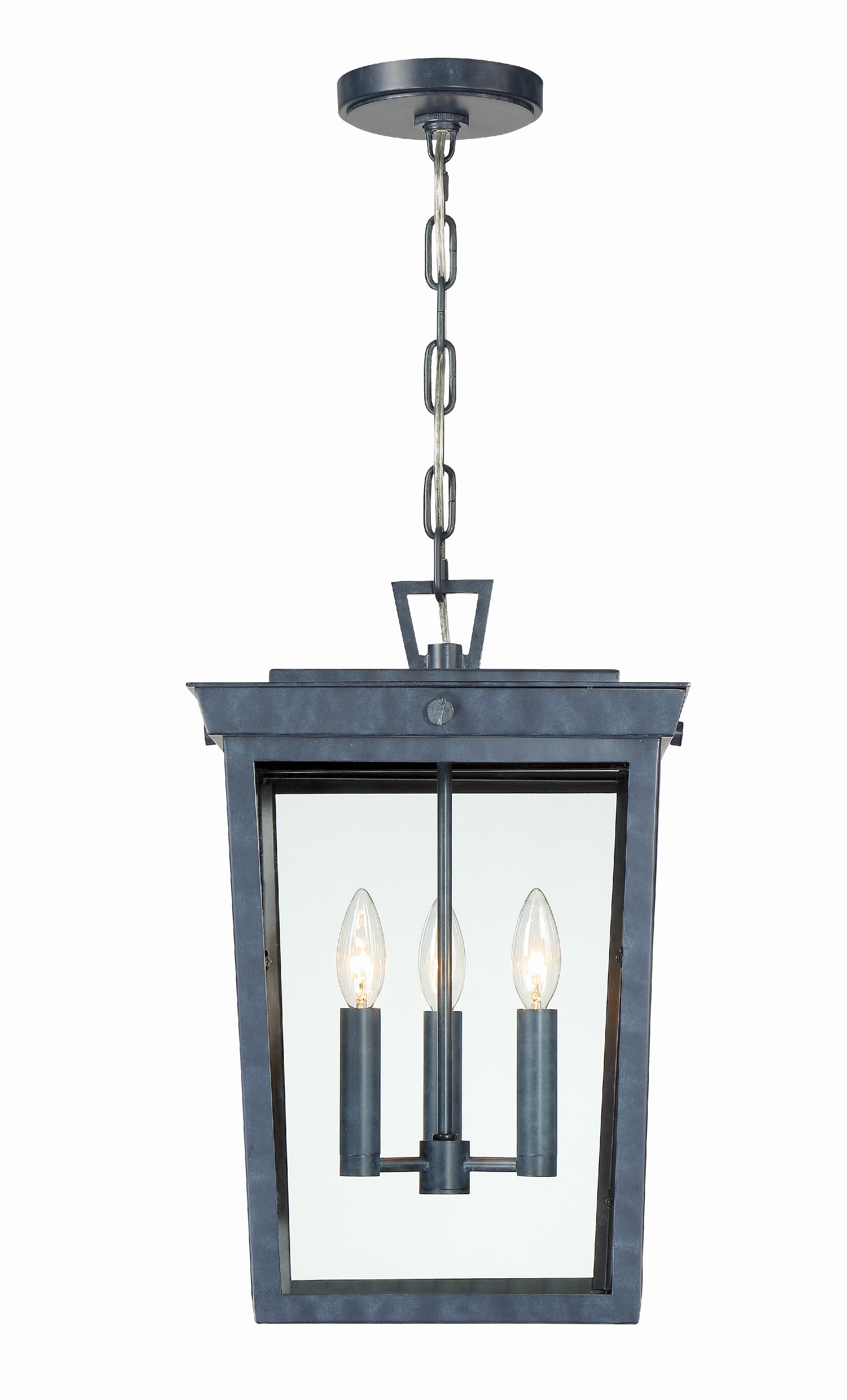 Belmont 12'' Graphite Outdoor Pendant