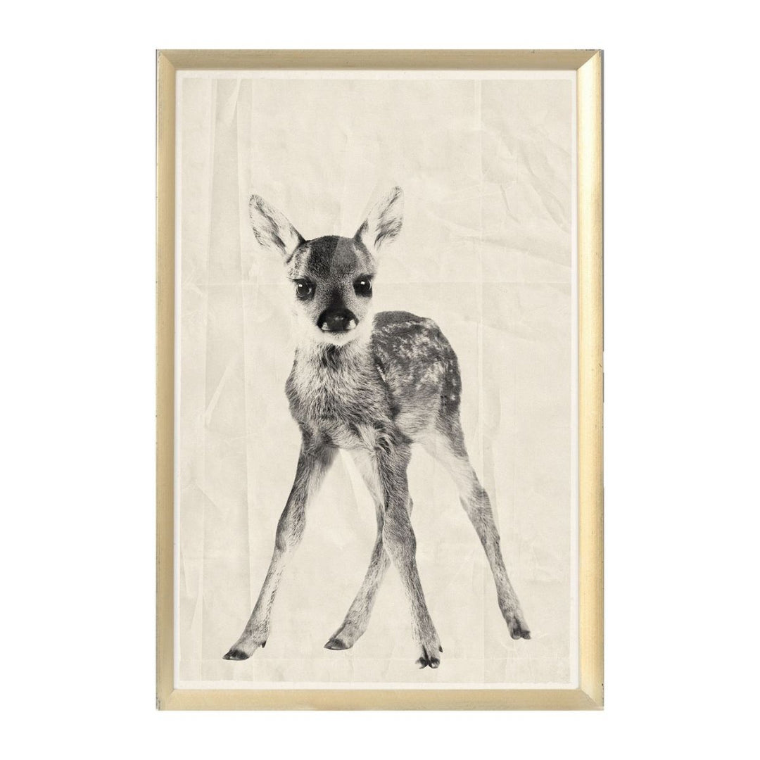 Baby Fawn