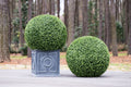 Boxwood Balls 39"